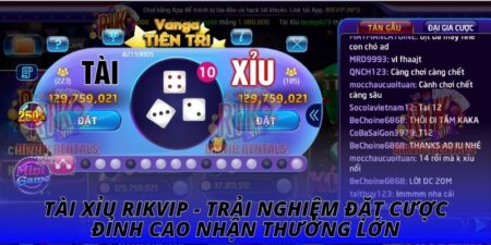 Tài Xỉu RIKVIP - Trải Nghiệm Đặt Cược Đỉnh Cao Nhận Thưởng Lớn